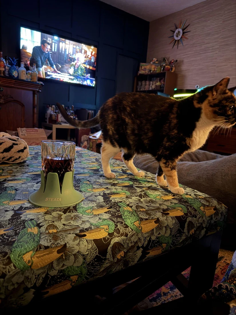 Dixie’s cat walking beside a glass in a sage Steadi on a cushioned ottoman